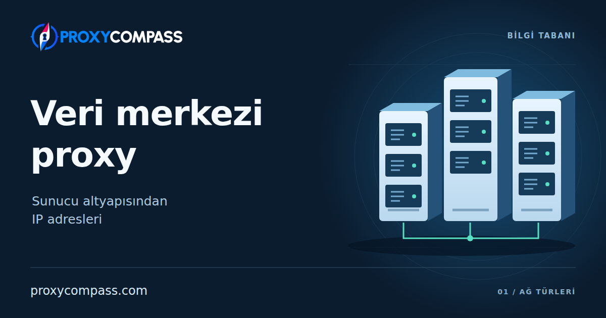 Veri merkezi proxy sunucuları