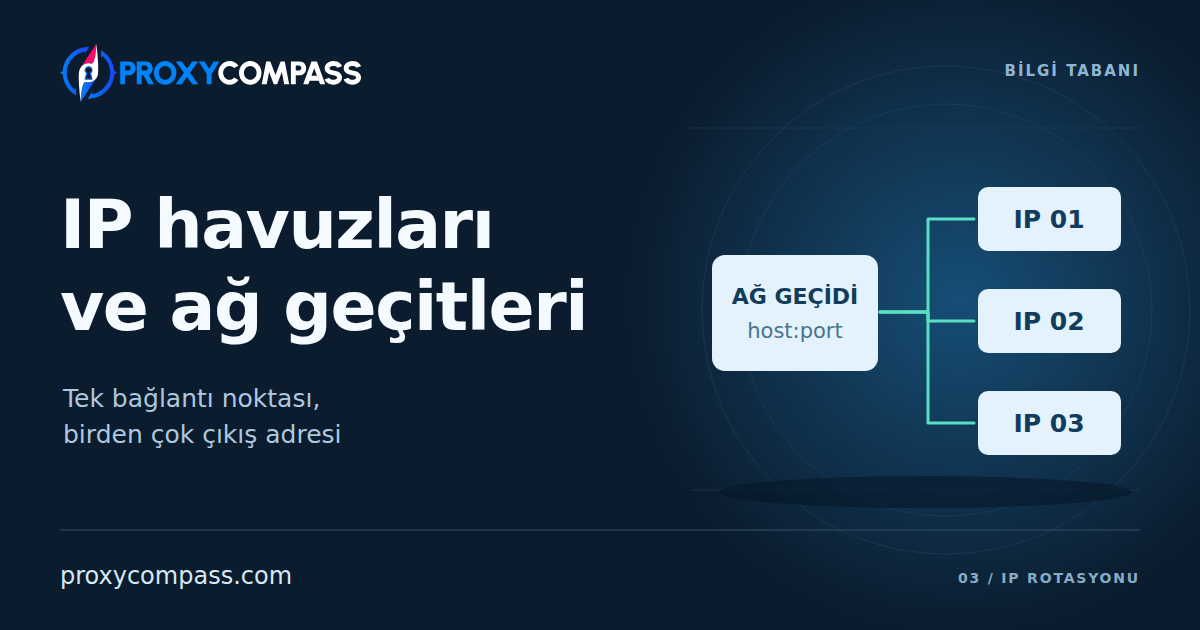 IP Havuzları ve Ağ Geçidi Bağlantı Uç Noktaları