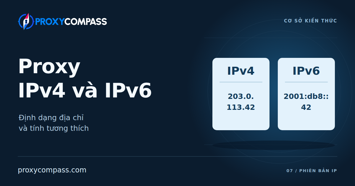 Proxy IPv4 và IPv6