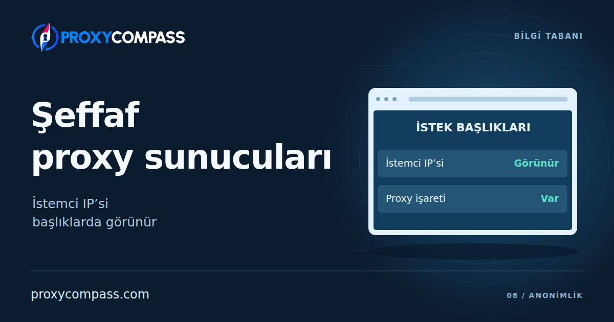 Şeffaf Proxy Sunucuları