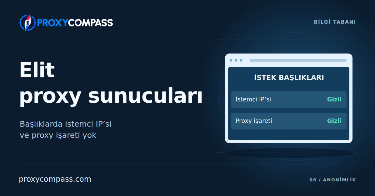 Elit Proxy Sunucuları