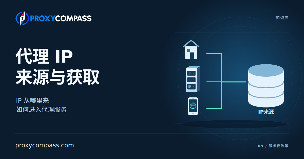 IP 地址来源及获取方式