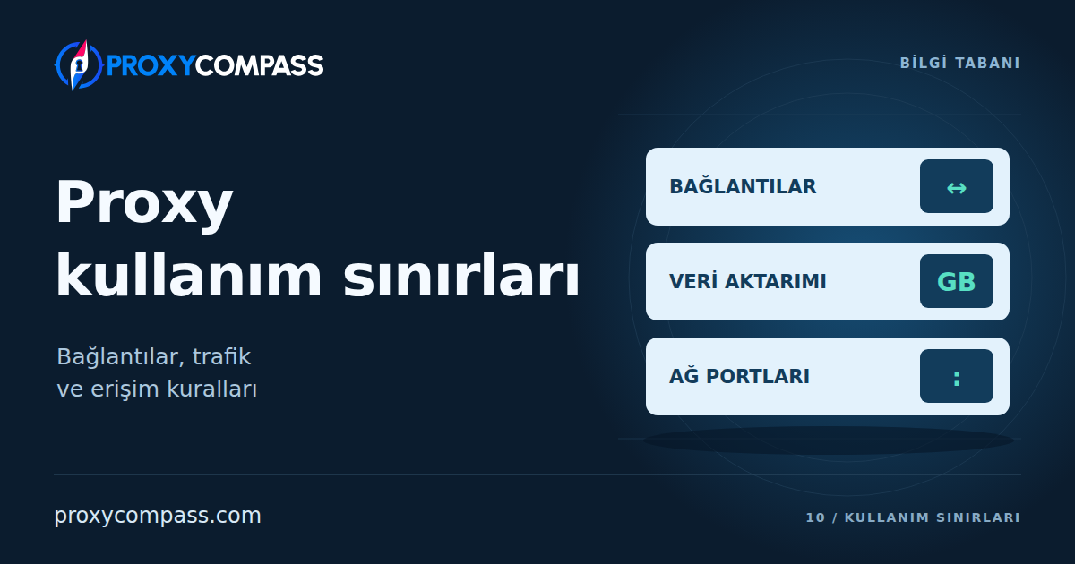 Proxy Kullanım Sınırları