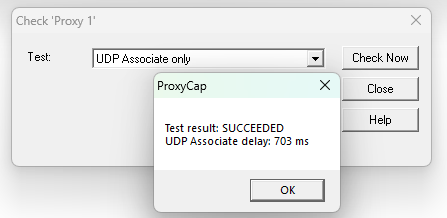 ProxyCap UDP test sonucu penceresi