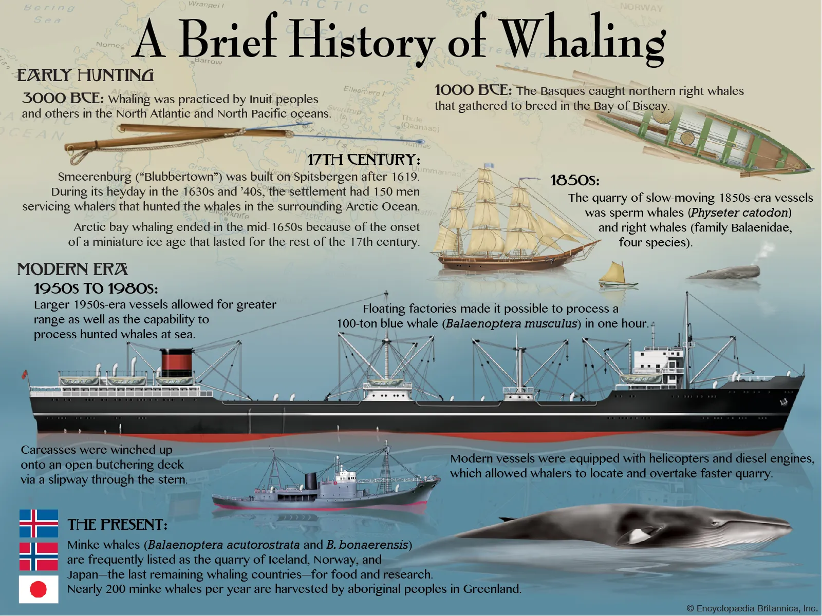 Caccia alla balena
