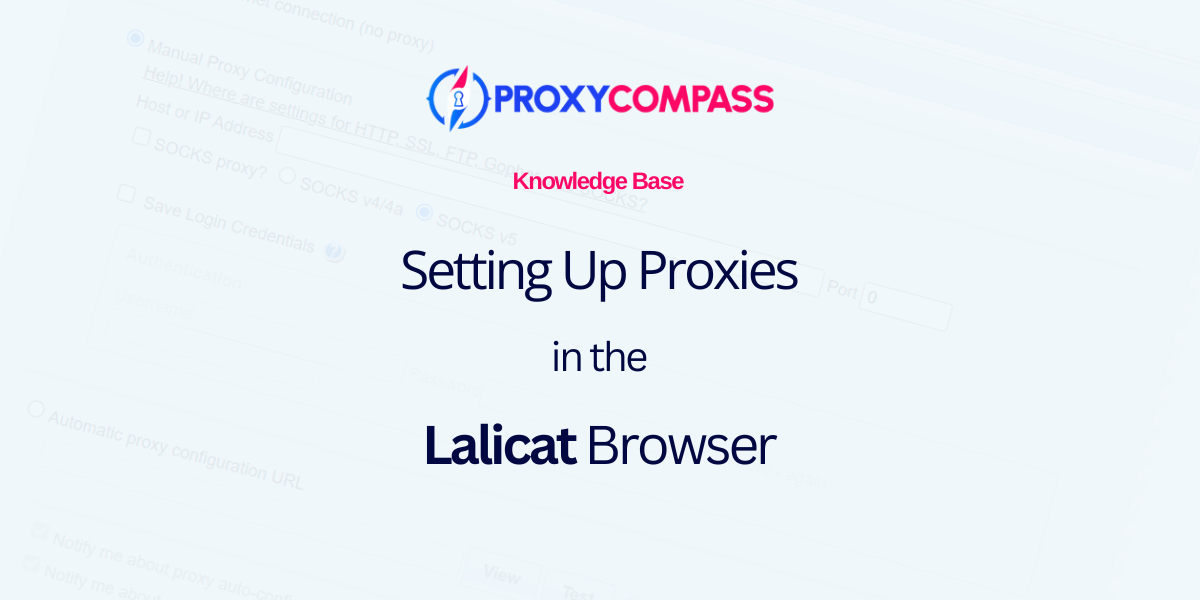 Configurazione di un proxy nel browser Lalicat